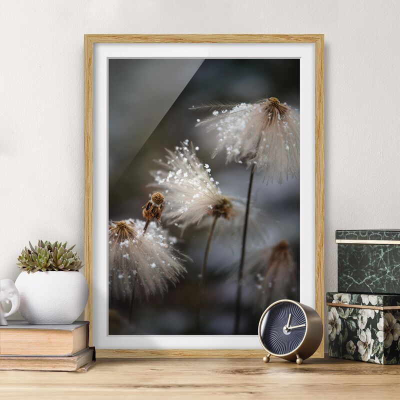 Póster enmarcado - Tarassaco con fiocchi di neve Dimensión LxA: 55cm x 40cm, Marco: Roble
Póster enmarcado - Tarassaco con fiocchi di neve Dimensión LxA: 55cm x 40cm, Marco: Roble