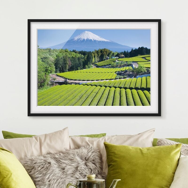 Póster enmarcado - Tea Fields In Front Of The Fuji Dimensión LxA: 18cm x 24cm, Marco: Negro
Póster enmarcado - Tea Fields In Front Of The Fuji Dimensión LxA: 18cm x 24cm, Marco: Negro