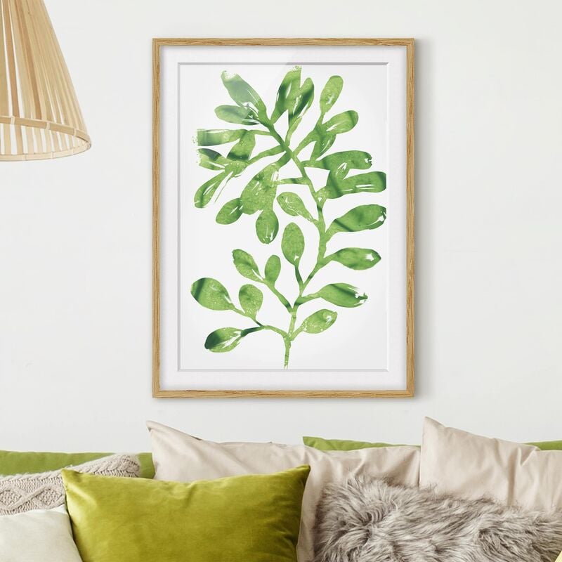Póster enmarcado - Tropical Leaves Ii Acquerello Dimensión LxA: 70cm x 50cm, Marco: Roble
Póster enmarcado - Tropical Leaves Ii Acquerello Dimensión LxA: 70cm x 50cm, Marco: Roble