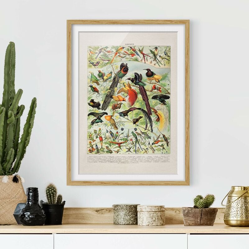 Póster enmarcado - Uccelli da tavolo d'epoca del paradiso Dimensión LxA: 70cm x 50cm, Marco: Roble
Póster enmarcado - Uccelli da tavolo d'epoca del paradiso Dimensión LxA: 70cm x 50cm, Marco: Roble
