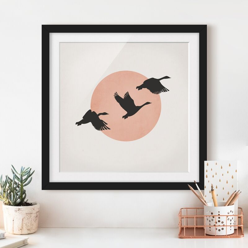 Póster enmarcado - Uccelli davanti al sole rosa III Dimensión LxA: 50cm x 50cm, Marco: Negro
Póster enmarcado - Uccelli davanti al sole rosa III Dimensión LxA: 50cm x 50cm, Marco: Negro