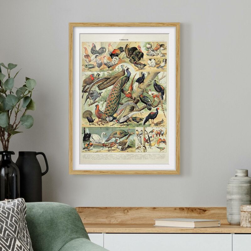 Póster enmarcado - Uccelli d'epoca Consiglio europeo Dimensión LxA: 70cm x 50cm, Marco: Roble
Póster enmarcado - Uccelli d'epoca Consiglio europeo Dimensión LxA: 70cm x 50cm, Marco: Roble