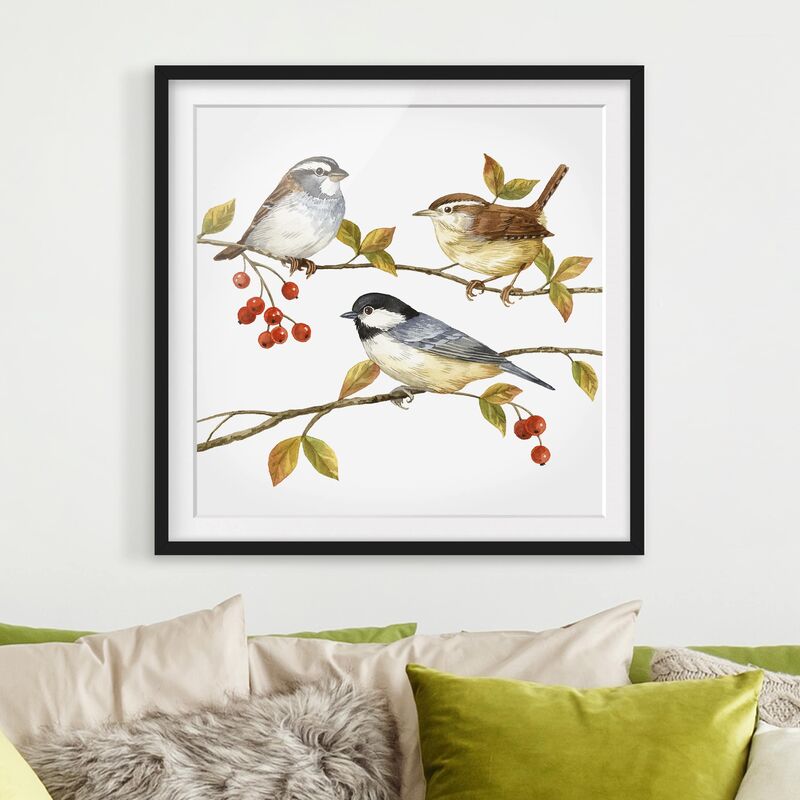Póster enmarcado - Uccelli e bacche - Cinciallegre Dimensión LxA: 20cm x 20cm, Marco: Negro
Póster enmarcado - Uccelli e bacche - Cinciallegre Dimensión LxA: 20cm x 20cm, Marco: Negro
