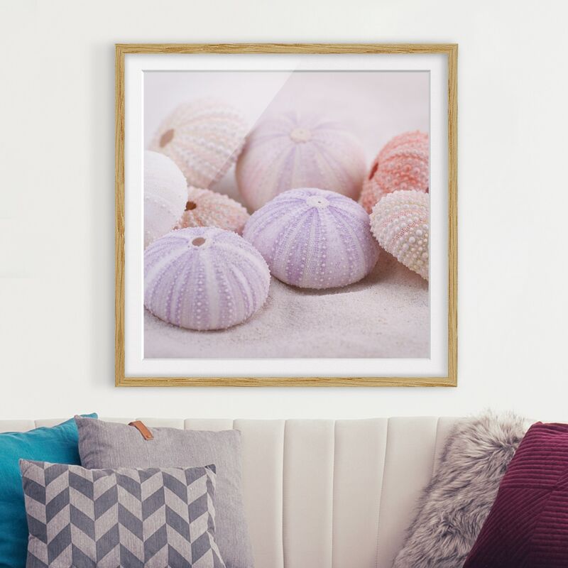 Póster enmarcado - Urchin In Pastel Dimensión LxA: 30cm x 30cm, Marco: Roble
Póster enmarcado - Urchin In Pastel Dimensión LxA: 30cm x 30cm, Marco: Roble