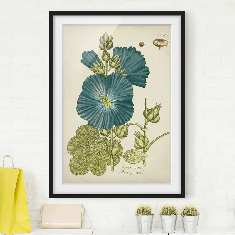 Póster enmarcado - Vintage Botanica In Blue Rose pioppo Dimensión LxA: 100cm x 70cm, Marco: Negro
Póster enmarcado - Vintage Botanica In Blue Rose pioppo Dimensión LxA: 100cm x 70cm, Marco: Negro