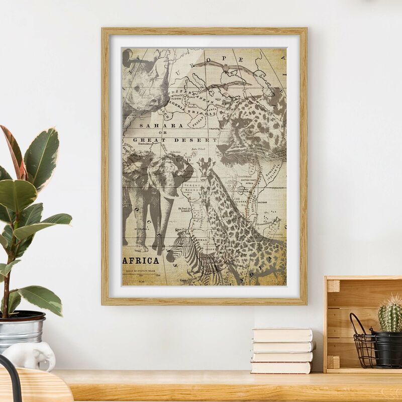 Póster enmarcado - Vintage Collage - Africa Wildlife Dimensión LxA: 55cm x 40cm, Marco: Roble
Póster enmarcado - Vintage Collage - Africa Wildlife Dimensión LxA: 55cm x 40cm, Marco: Roble