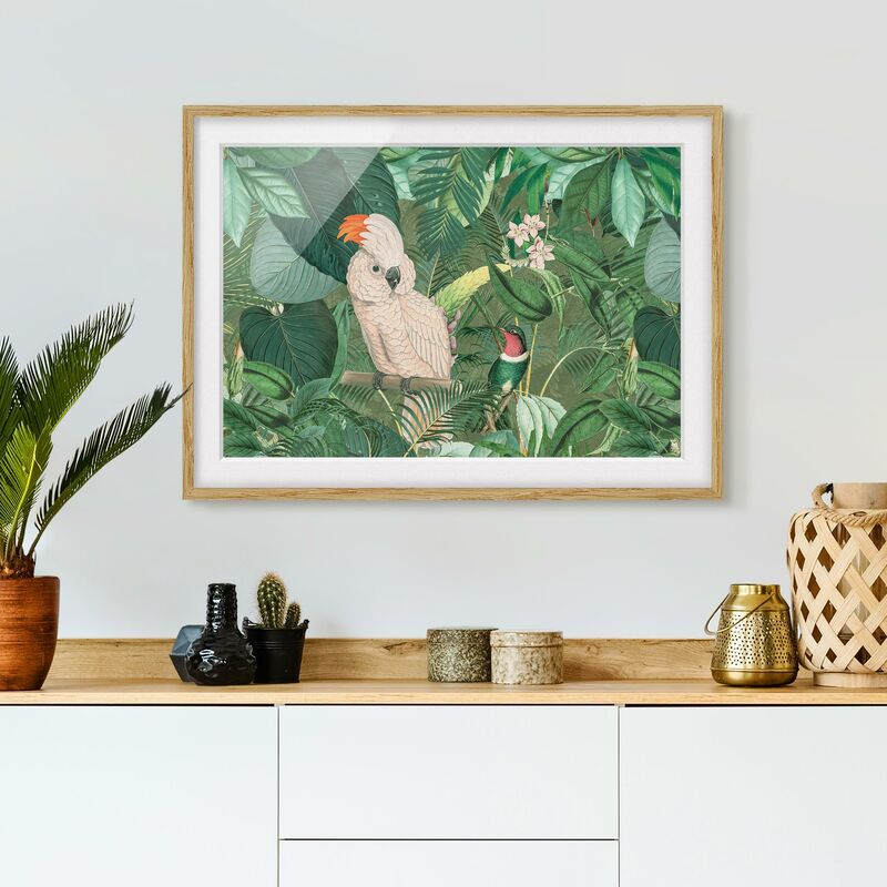 Póster enmarcado - Vintage Collage - Cockatoo E Hummingbird Dimensión LxA: 50cm x 70cm, Marco: Roble
Póster enmarcado - Vintage Collage - Cockatoo E Hummingbird Dimensión LxA: 50cm x 70cm, Marco: Roble