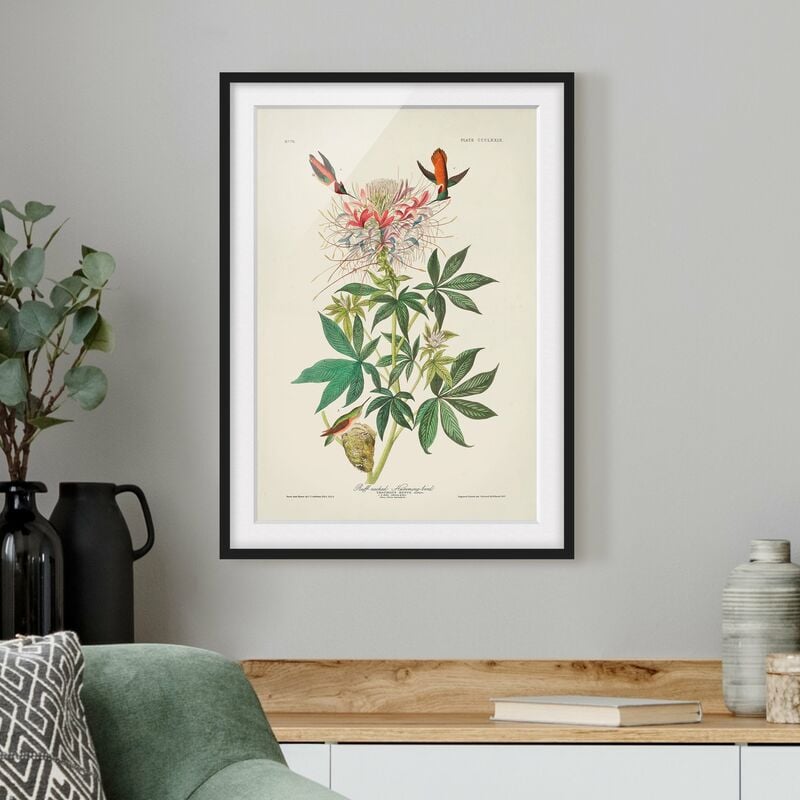 Póster enmarcado - Vintage Consiglio Allenkolibris Dimensión LxA: 100cm x 70cm, Marco: Negro
Póster enmarcado - Vintage Consiglio Allenkolibris Dimensión LxA: 100cm x 70cm, Marco: Negro