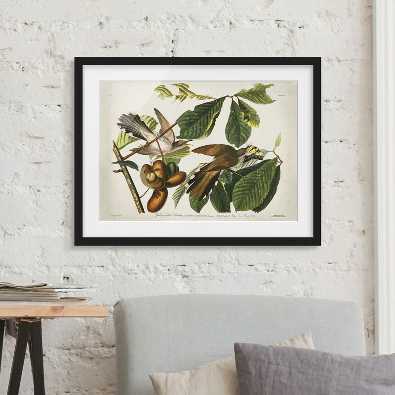 Póster enmarcado - Vintage Consiglio Cuckoo II Dimensión LxA: 50cm x 70cm, Marco: Negro
Póster enmarcado - Vintage Consiglio Cuckoo II Dimensión LxA: 50cm x 70cm, Marco: Negro