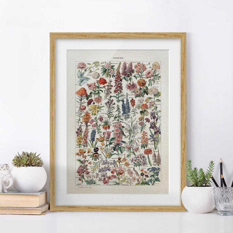 Póster enmarcado - Vintage Consiglio Fiori V Dimensión LxA: 70cm x 50cm, Marco: Roble
Póster enmarcado - Vintage Consiglio Fiori V Dimensión LxA: 70cm x 50cm, Marco: Roble