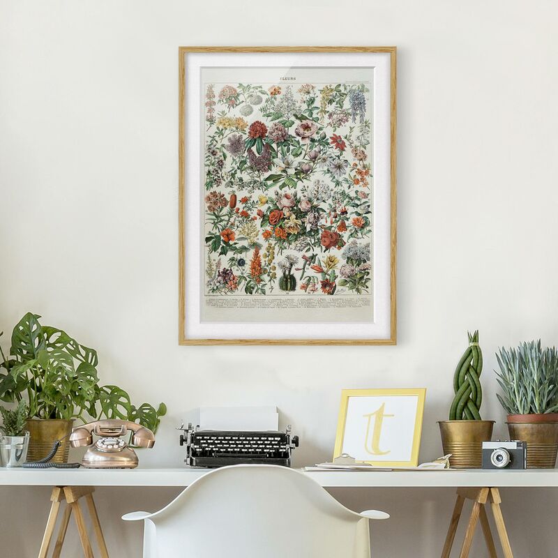Póster enmarcado - Vintage Consiglio Flowers II Dimensión LxA: 70cm x 50cm, Marco: Roble
Póster enmarcado - Vintage Consiglio Flowers II Dimensión LxA: 70cm x 50cm, Marco: Roble