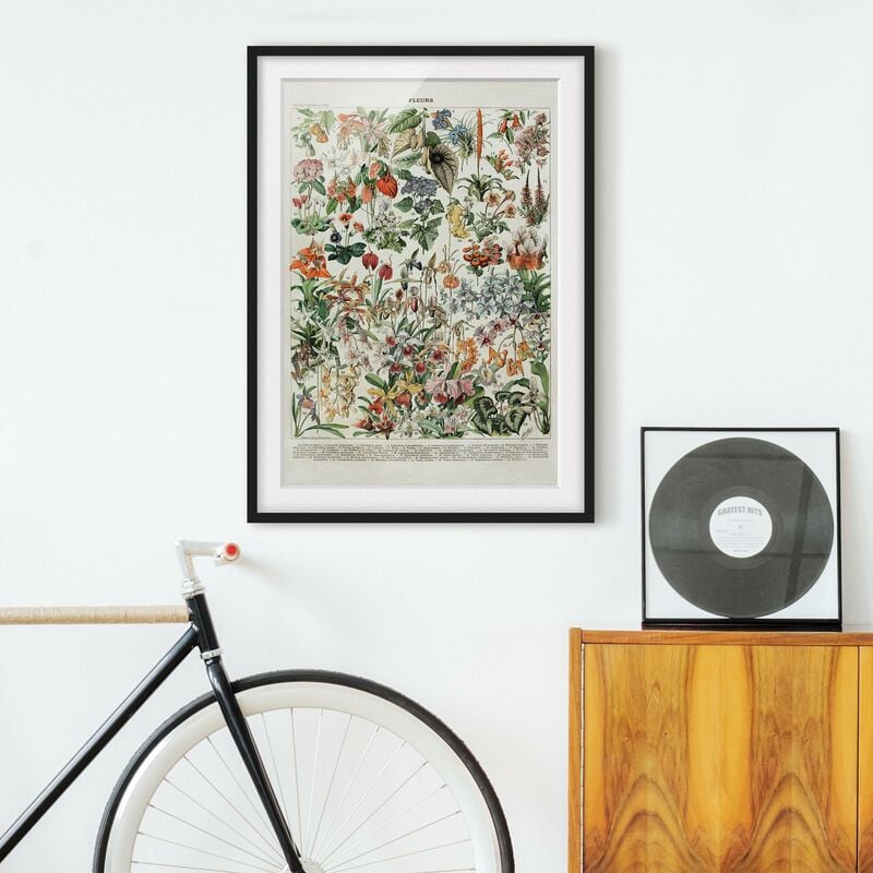 Póster enmarcado - Vintage Consiglio Flowers III Dimensión LxA: 70cm x 50cm, Marco: Negro
Póster enmarcado - Vintage Consiglio Flowers III Dimensión LxA: 70cm x 50cm, Marco: Negro