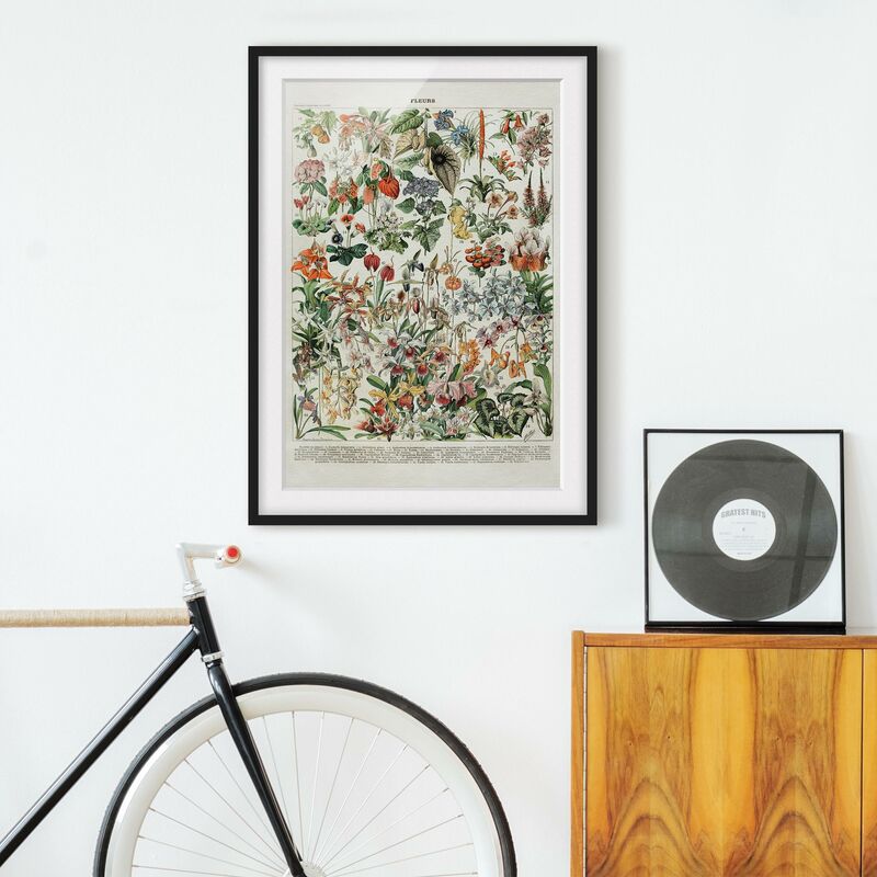 Póster enmarcado - Vintage Consiglio Flowers III Dimensión LxA: 100cm x 70cm, Marco: Negro
Póster enmarcado - Vintage Consiglio Flowers III Dimensión LxA: 100cm x 70cm, Marco: Negro