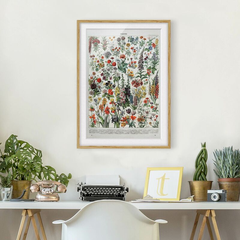 Póster enmarcado - Vintage Consiglio Flowers IV Dimensión LxA: 70cm x 50cm, Marco: Roble
Póster enmarcado - Vintage Consiglio Flowers IV Dimensión LxA: 70cm x 50cm, Marco: Roble