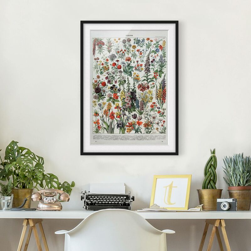 Póster enmarcado - Vintage Consiglio Flowers IV Dimensión LxA: 40cm x 30cm, Marco: Negro
Póster enmarcado - Vintage Consiglio Flowers IV Dimensión LxA: 40cm x 30cm, Marco: Negro