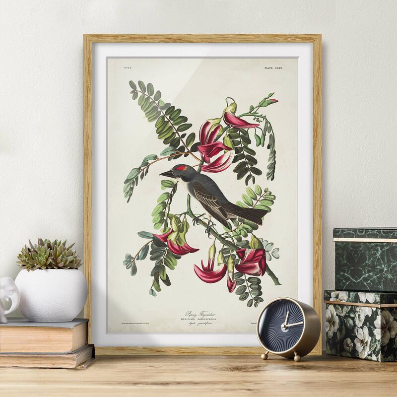 Póster enmarcado - Vintage Consiglio Flycatchers II Dimensión LxA: 40cm x 30cm, Marco: Roble
Póster enmarcado - Vintage Consiglio Flycatchers II Dimensión LxA: 40cm x 30cm, Marco: Roble
