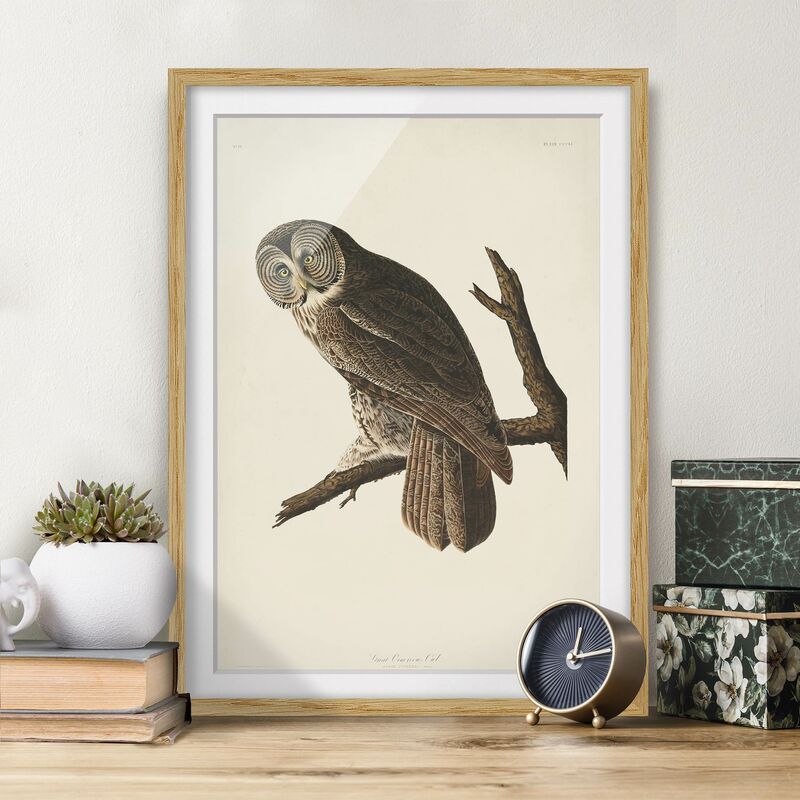 Póster enmarcado - Vintage Consiglio Grande Gufo Dimensión LxA: 70cm x 50cm, Marco: Roble
Póster enmarcado - Vintage Consiglio Grande Gufo Dimensión LxA: 70cm x 50cm, Marco: Roble