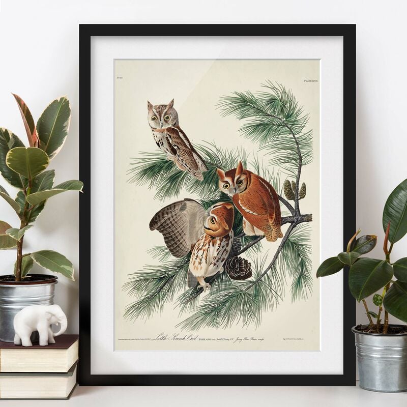 Póster enmarcado - Vintage Consiglio Kauzchen Dimensión LxA: 40cm x 30cm, Marco: Negro
Póster enmarcado - Vintage Consiglio Kauzchen Dimensión LxA: 40cm x 30cm, Marco: Negro