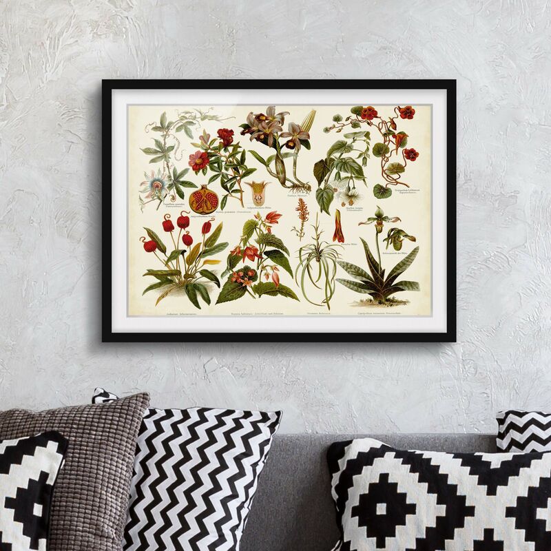 Póster enmarcado - Vintage Consiglio Tropical Botanica II Dimensión LxA: 18cm x 24cm, Marco: Negro
Póster enmarcado - Vintage Consiglio Tropical Botanica II Dimensión LxA: 18cm x 24cm, Marco: Negro