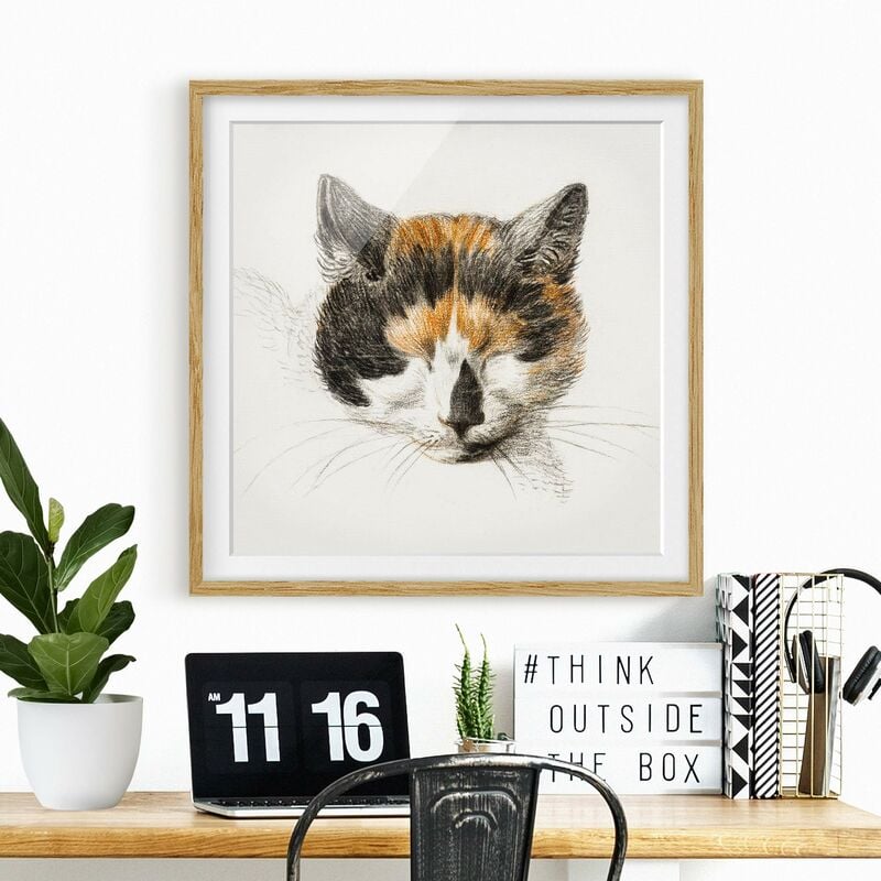 Póster enmarcado - Vintage Disegno Cat IV Dimensión LxA: 30cm x 30cm, Marco: Roble
Póster enmarcado - Vintage Disegno Cat IV Dimensión LxA: 30cm x 30cm, Marco: Roble