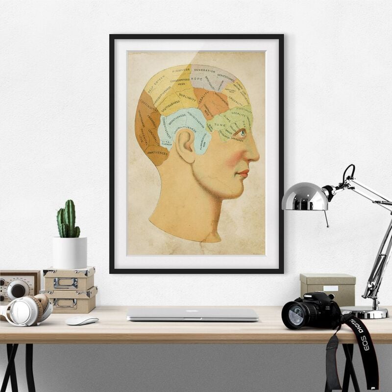 Póster enmarcado - Vintage mappa del The Soul Dimensión LxA: 24cm x 18cm, Marco: Negro
Póster enmarcado - Vintage mappa del The Soul Dimensión LxA: 24cm x 18cm, Marco: Negro
