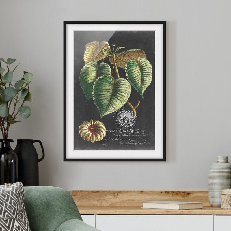 Póster enmarcado - Vintage Royales foglie su fondo nero I Dimensión LxA: 24cm x 18cm, Marco: Negro
Póster enmarcado - Vintage Royales foglie su fondo nero I Dimensión LxA: 24cm x 18cm, Marco: Negro