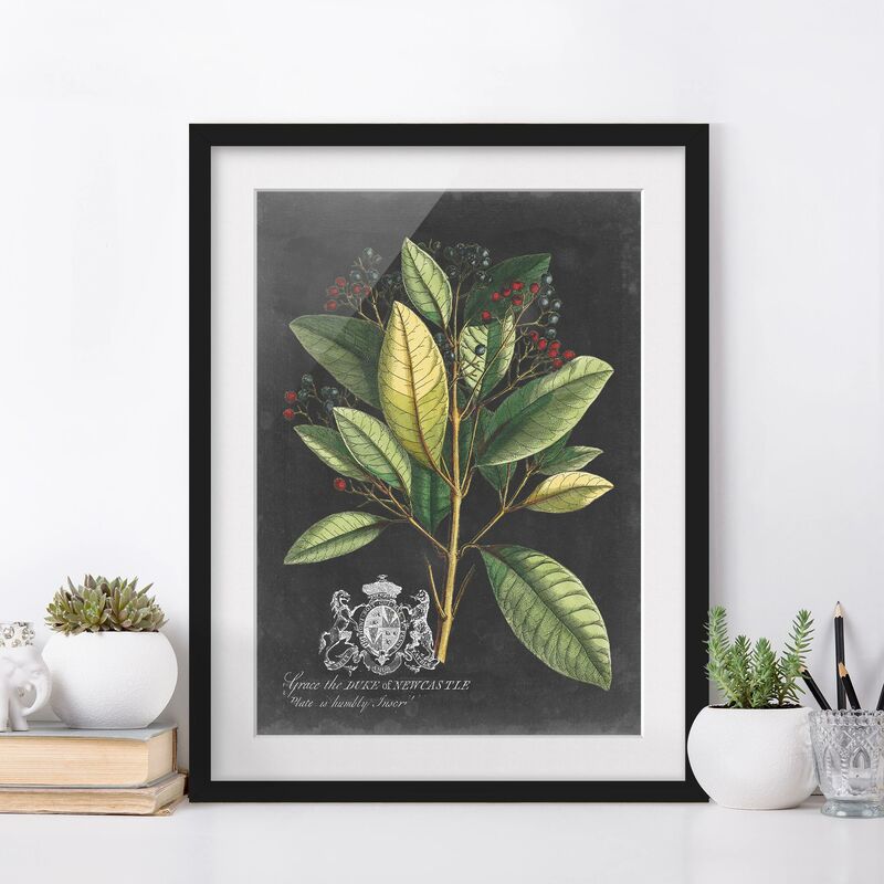 Póster enmarcado - Vintage Royales foglie su fondo nero IV Dimensión LxA: 70cm x 50cm, Marco: Negro
Póster enmarcado - Vintage Royales foglie su fondo nero IV Dimensión LxA: 70cm x 50cm, Marco: Negro