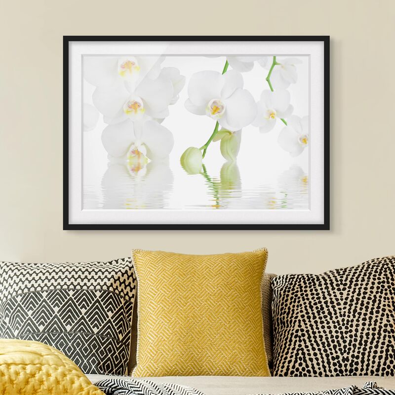 Póster enmarcado - Wellness Orchid - White Orchid Dimensión LxA: 50cm x 70cm, Marco: Negro
Póster enmarcado - Wellness Orchid - White Orchid Dimensión LxA: 50cm x 70cm, Marco: Negro