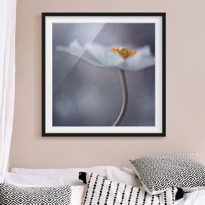 Póster enmarcado - White Anemones Blossom Dimensión LxA: 70cm x 70cm, Marco: Negro
Póster enmarcado - White Anemones Blossom Dimensión LxA: 70cm x 70cm, Marco: Negro