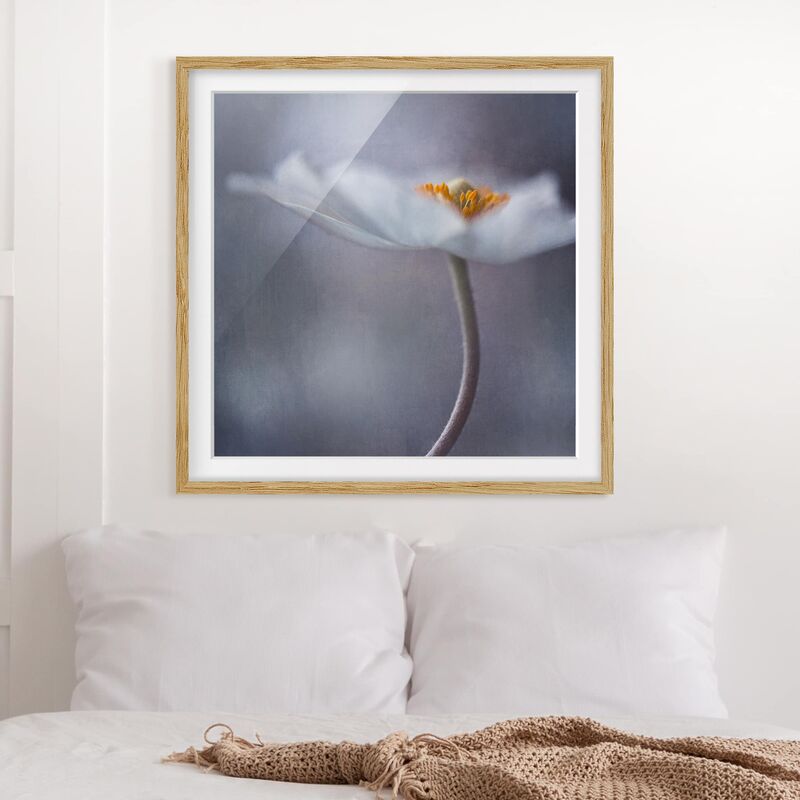 Póster enmarcado - White Anemones Blossom Dimensión LxA: 70cm x 70cm, Marco: Roble
Póster enmarcado - White Anemones Blossom Dimensión LxA: 70cm x 70cm, Marco: Roble