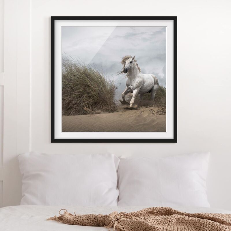 Póster enmarcado - White Horse In The Dunes Dimensión LxA: 20cm x 20cm, Marco: Negro
Póster enmarcado - White Horse In The Dunes Dimensión LxA: 20cm x 20cm, Marco: Negro