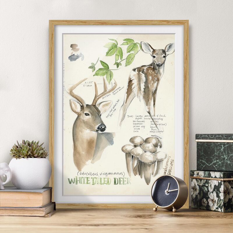 Póster enmarcado - Wilderness Journal - Hirsch Dimensión LxA: 70cm x 50cm, Marco: Roble
Póster enmarcado - Wilderness Journal - Hirsch Dimensión LxA: 70cm x 50cm, Marco: Roble