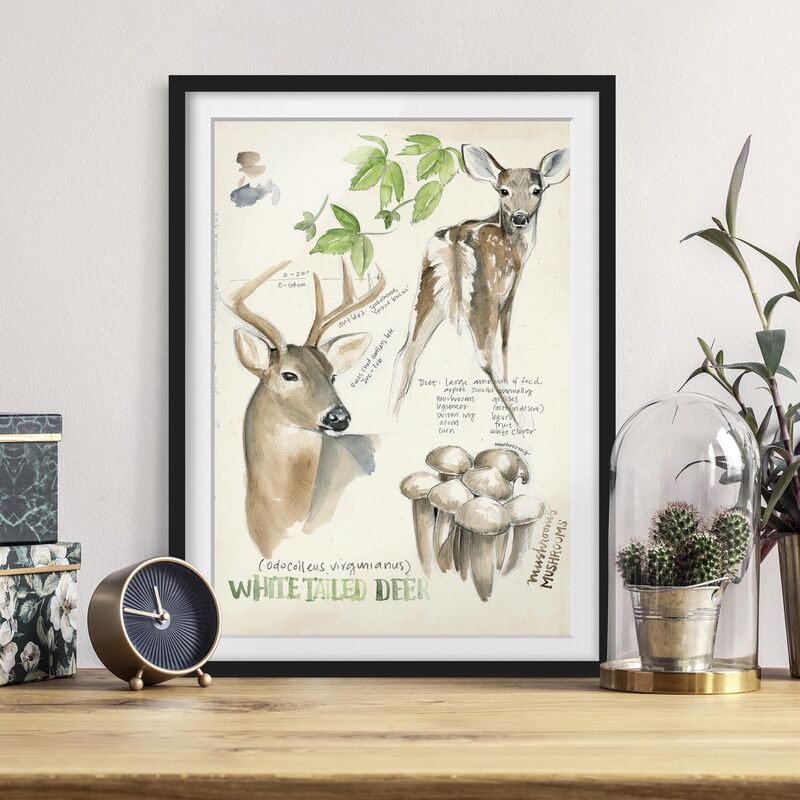 Póster enmarcado - Wilderness Journal - Hirsch Dimensión LxA: 100cm x 70cm, Marco: Negro
Póster enmarcado - Wilderness Journal - Hirsch Dimensión LxA: 100cm x 70cm, Marco: Negro