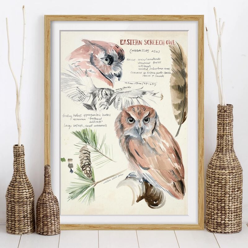 Póster enmarcado - Wilderness Journal - Owl Dimensión LxA: 70cm x 50cm, Marco: Roble
Póster enmarcado - Wilderness Journal - Owl Dimensión LxA: 70cm x 50cm, Marco: Roble