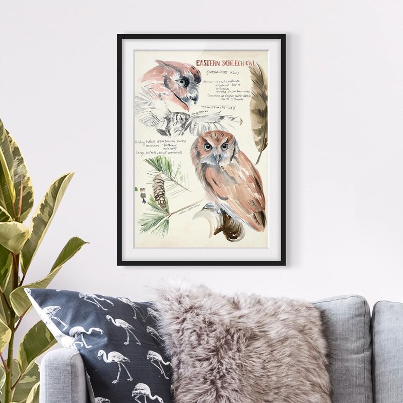 Póster enmarcado - Wilderness Journal - Owl Dimensión LxA: 40cm x 30cm, Marco: Negro
Póster enmarcado - Wilderness Journal - Owl Dimensión LxA: 40cm x 30cm, Marco: Negro
