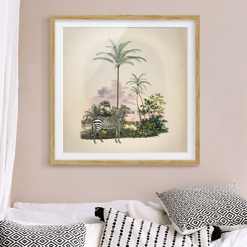 Póster enmarcado - Zebra Davanti Palme Illustrazione Dimensión LxA: 70cm x 70cm, Marco: Roble
Póster enmarcado - Zebra Davanti Palme Illustrazione Dimensión LxA: 70cm x 70cm, Marco: Roble