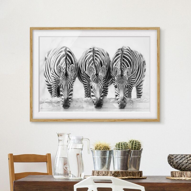 Póster enmarcado - Zebra Trio in bianco e nero Dimensión LxA: 70cm x 100cm, Marco: Roble
Póster enmarcado - Zebra Trio in bianco e nero Dimensión LxA: 70cm x 100cm, Marco: Roble
