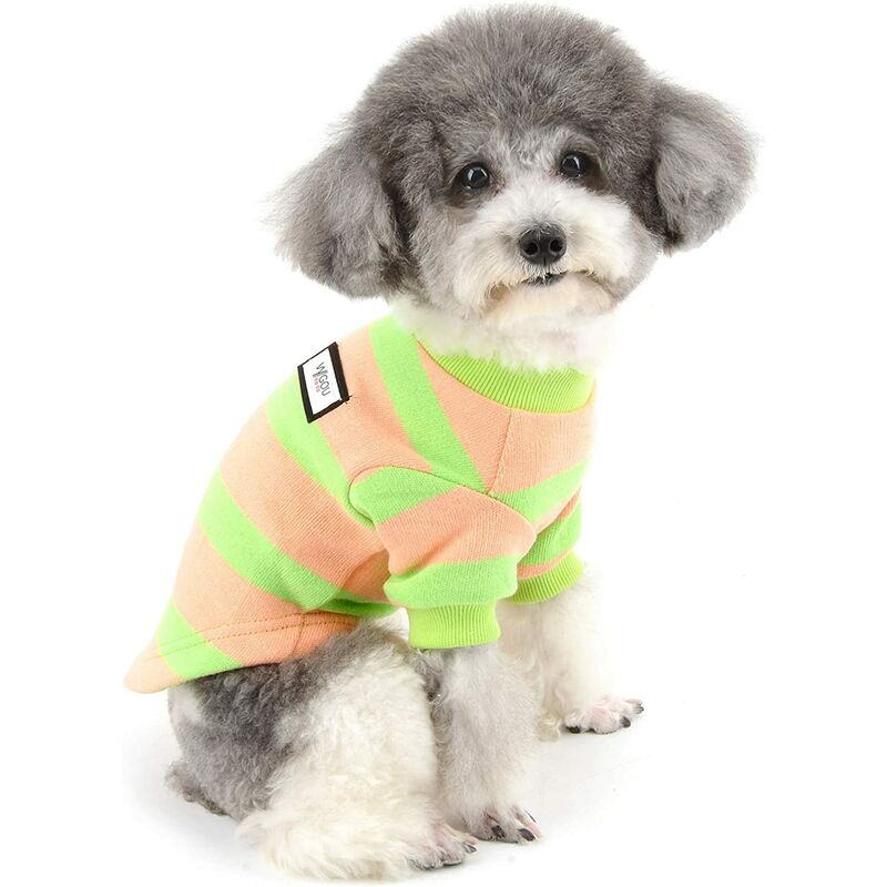 Suéter para perros pequeños Prendas de abrigo Abrigo de invierno de algodón suave a rayas cálido Chaqueta para cachorros y gatos Ropa para mascotas
Suéter para perros pequeños Prendas de abrigo Abrigo de invierno de algodón suave a rayas cálido Chaqueta para cachorros y gatos Ropa para mascotas