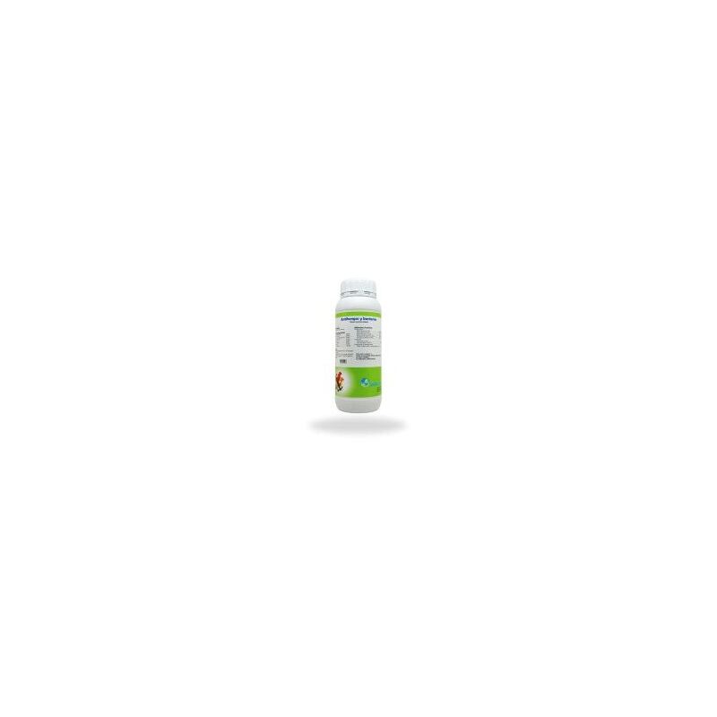 Purificante natural ANTIHONGOS Y ANTIBACTERIAS para el agua de bebida en aves 1 lto.. - Canariz
Purificante natural ANTIHONGOS Y ANTIBACTERIAS para el agua de bebida en aves 1 lto.. - Canariz