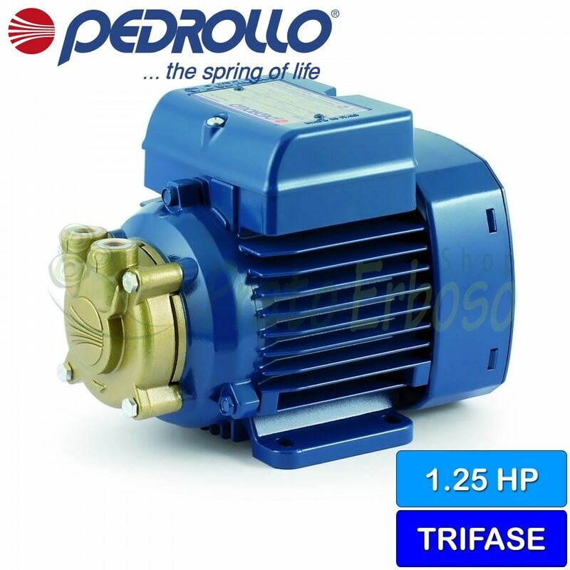 Pedrollo - PV 90 - eléctrico de la Bomba, impulsor del dispositivo, de tres fases
Pedrollo - PV 90 - eléctrico de la Bomba, impulsor del dispositivo, de tres fases