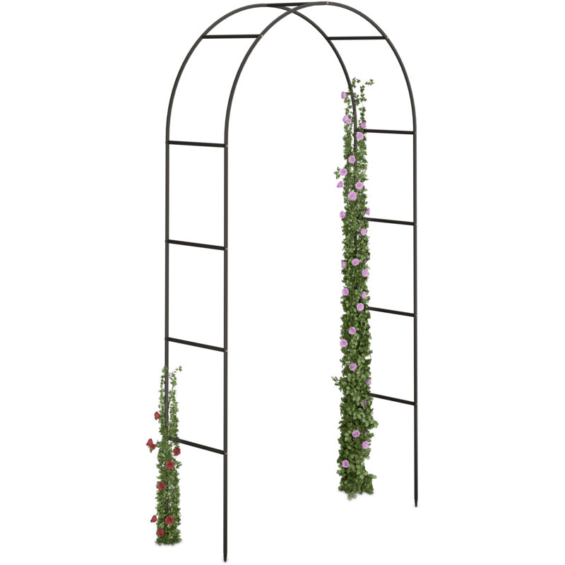 Relaxdays - Arco de Jardín, Trepadoras y Enredaderas, Acero Pulverizado, Puerta para Rosales, Resistente, de Pie, Negro
Relaxdays - Arco de Jardín, Trepadoras y Enredaderas, Acero Pulverizado, Puerta para Rosales, Resistente, de Pie, Negro