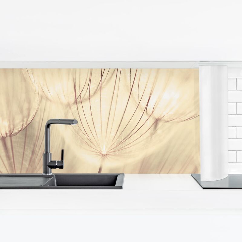 Revestimiento pared cocina - Dandelions Close-Up In Sepia Tones Homely Dimensión LxA: 60cm x 210cm Material: Magnético
Revestimiento pared cocina - Dandelions Close-Up In Sepia Tones Homely Dimensión LxA: 60cm x 210cm Material: Magnético
