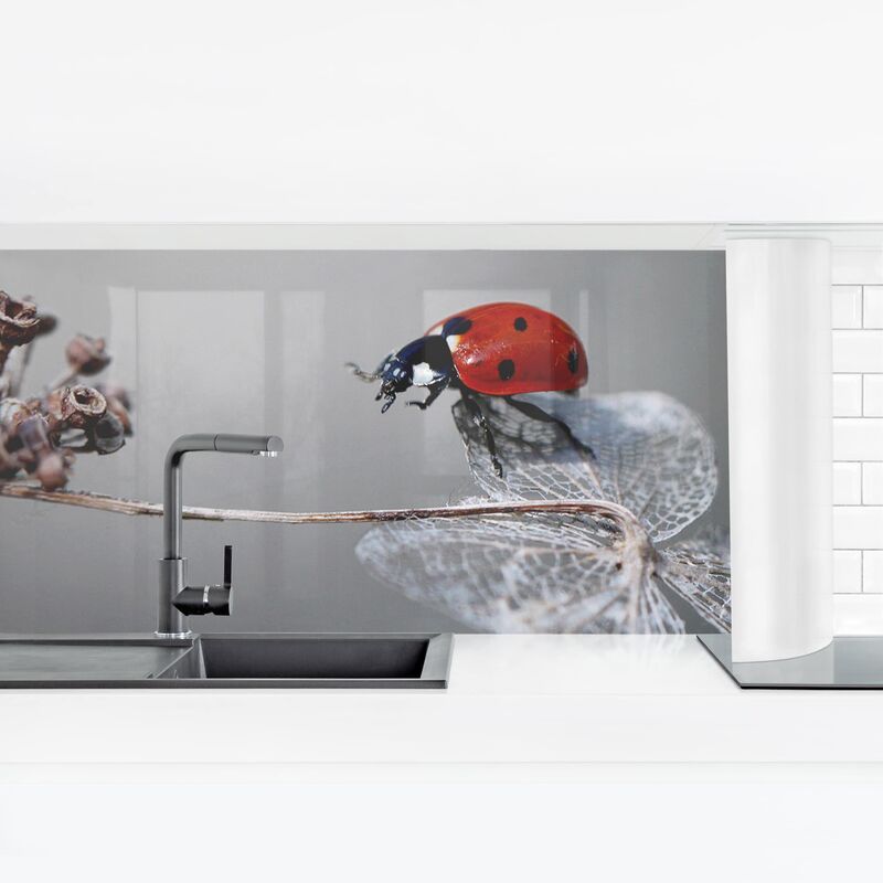 Bilderwelten - Revestimiento pared cocina - Ladybird On Hydrangea Dimensión LxA: 70cm x 245cm Material: Premium
Bilderwelten - Revestimiento pared cocina - Ladybird On Hydrangea Dimensión LxA: 70cm x 245cm Material: Premium