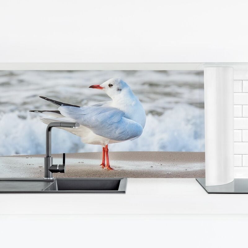 Revestimiento pared cocina - Seagull On The Beach In Front Of The Sea Dimensión LxA: 40cm x 140cm Material: Premium
Revestimiento pared cocina - Seagull On The Beach In Front Of The Sea Dimensión LxA: 40cm x 140cm Material: Premium