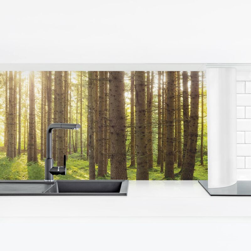 Revestimiento pared cocina - Sun Rays In Green Forest Dimensión LxA: 60cm x 210cm Material: Premium
Revestimiento pared cocina - Sun Rays In Green Forest Dimensión LxA: 60cm x 210cm Material: Premium