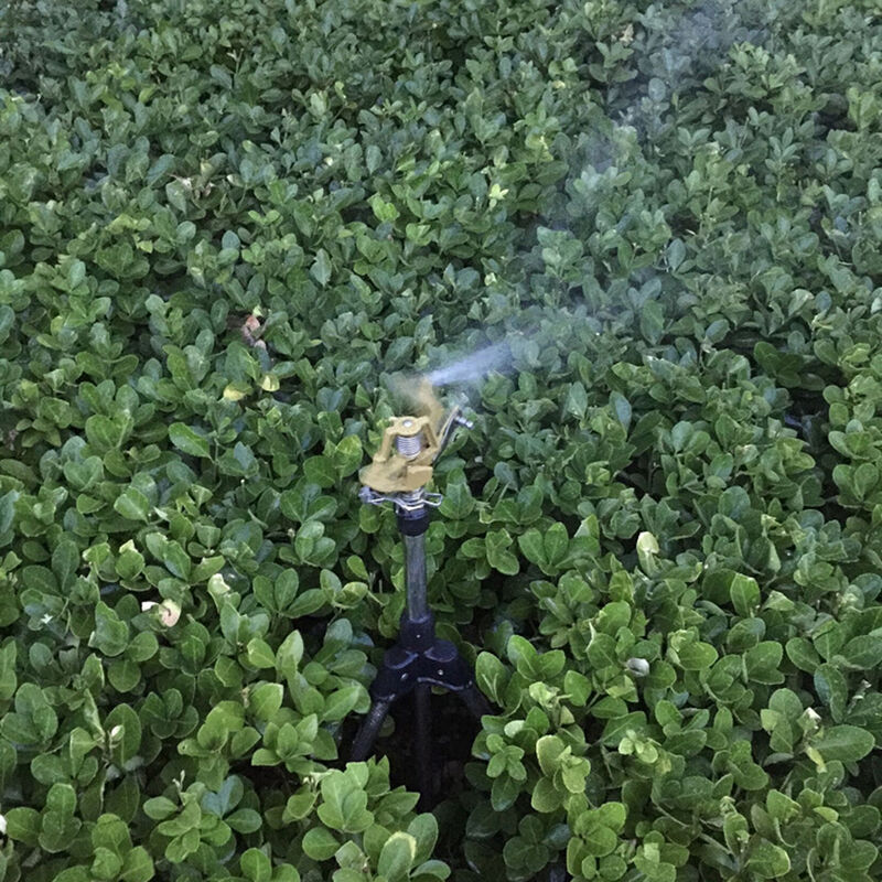 Rociadores de cesped, jardin de plantas de riego del tripode Administradores de agua, de aleacion de zinc de tierra de balancines boquilla automatica
Rociadores de cesped, jardin de plantas de riego del tripode Administradores de agua, de aleacion de zinc de tierra de balancines boquilla automatica