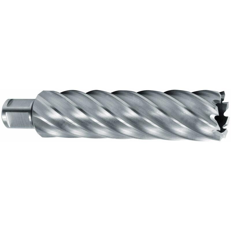 RUKO 1082035 - Broca hueca HSS con vástago Weldon (3/4') rectificada CBN profundidad de corte 110,0 mm (Ø 35,0 mm)
RUKO 1082035 - Broca hueca HSS con vástago Weldon (3/4') rectificada CBN profundidad de corte 110,0 mm (Ø 35,0 mm)