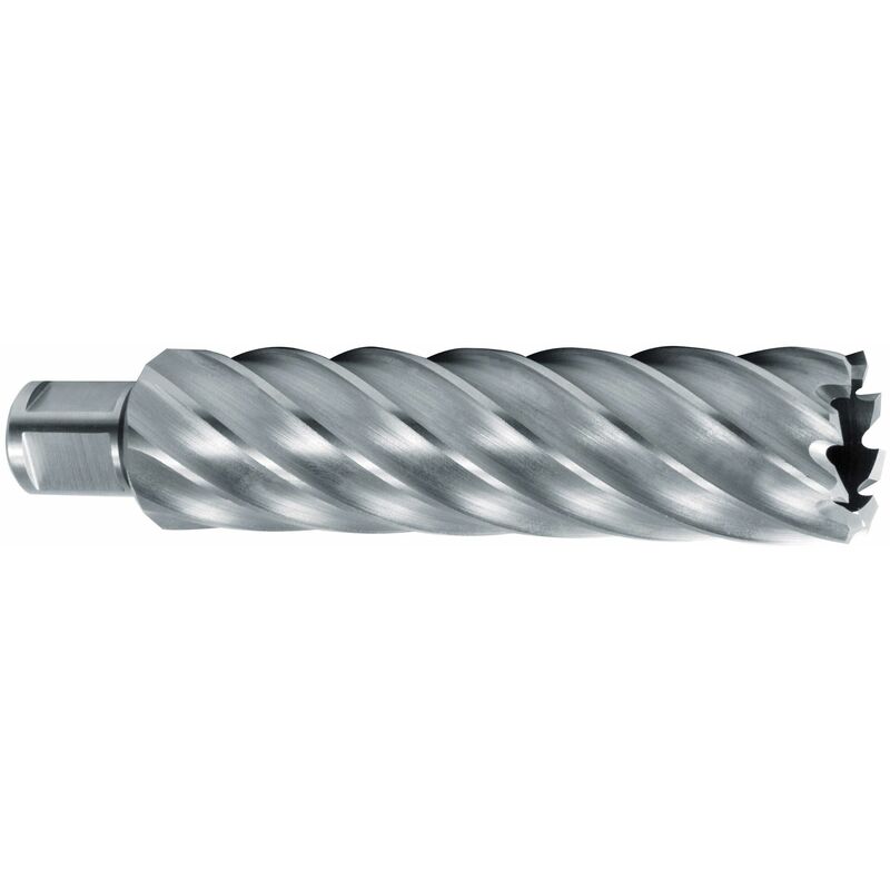 RUKO 1082040 - Broca hueca HSS con vástago Weldon (3/4") rectificada CBN profundidad de corte 110,0 mm (Ø 40,0 mm)
RUKO 1082040 - Broca hueca HSS con vástago Weldon (3/4") rectificada CBN profundidad de corte 110,0 mm (Ø 40,0 mm)