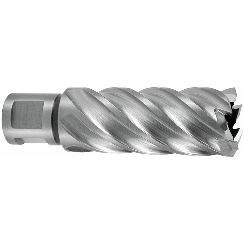 RUKO 108525E - Broca hueca HSSE-Co 5 con vástago Weldon (3/4') rectificada CBN profundidad de corte 55 mm (Ø 25,0 mm)
RUKO 108525E - Broca hueca HSSE-Co 5 con vástago Weldon (3/4') rectificada CBN profundidad de corte 55 mm (Ø 25,0 mm)