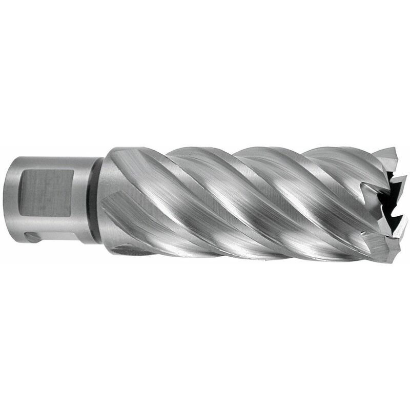 RUKO 108530E - Broca hueca HSSE-Co 5 con vástago Weldon (3/4') rectificada CBN profundidad de corte 55 mm (Ø 30,0 mm)
RUKO 108530E - Broca hueca HSSE-Co 5 con vástago Weldon (3/4') rectificada CBN profundidad de corte 55 mm (Ø 30,0 mm)